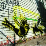 the birds and bees the birds and bees