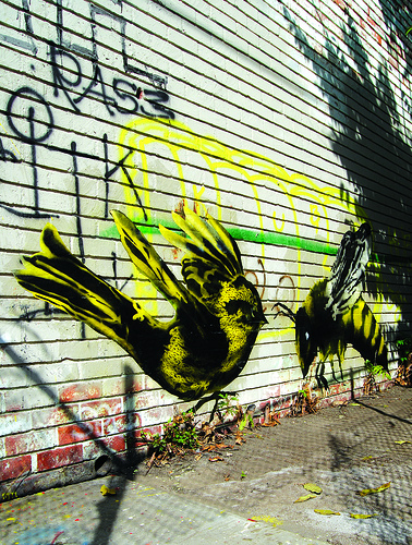the birds and bees the birds and bees