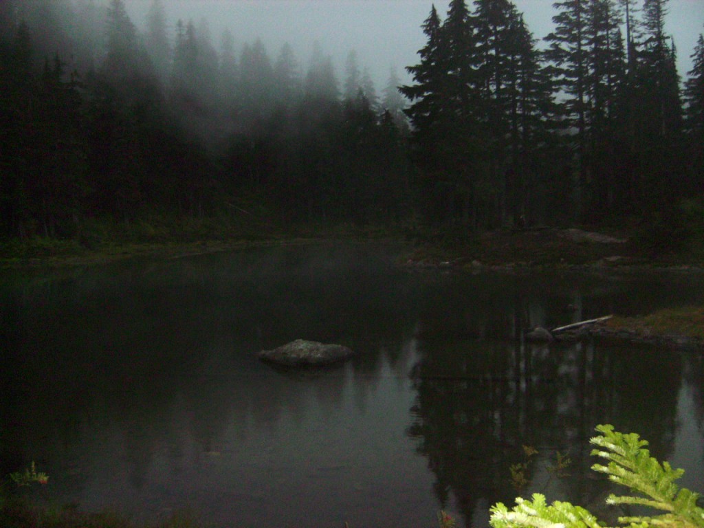 dawn breaks Camp Terror