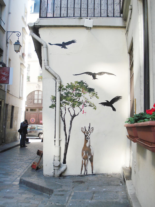 birds