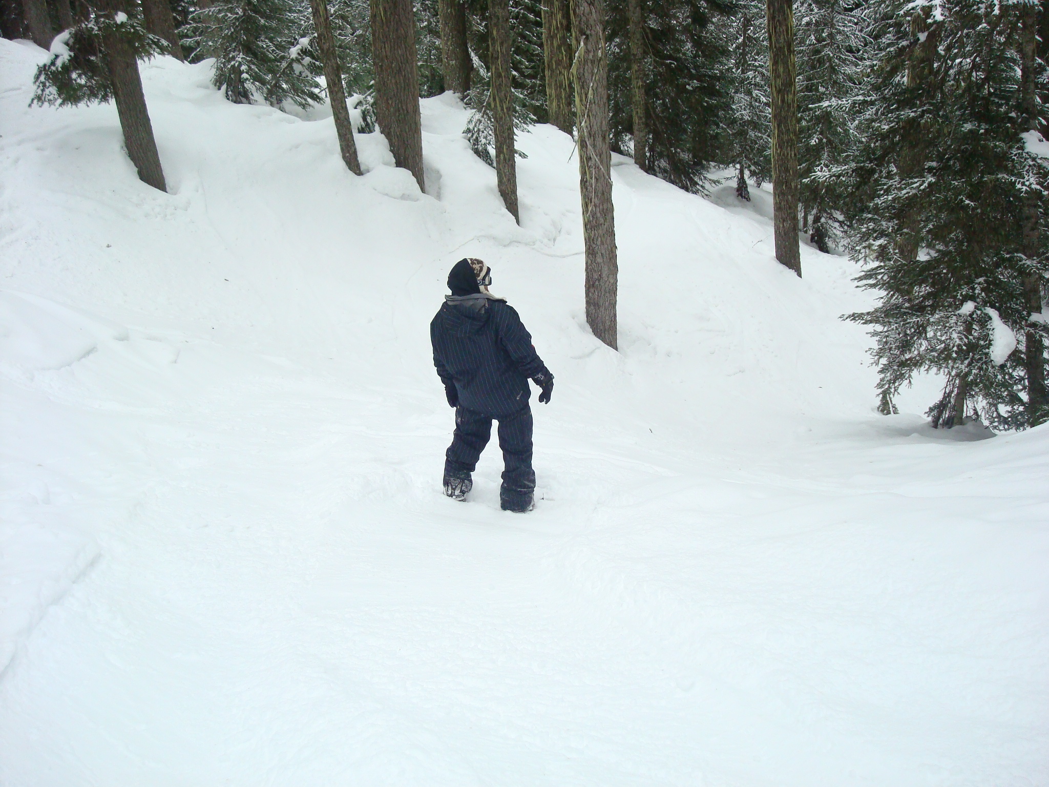 shredgnar