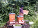 bee4 bee4