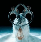 miike_snow_490
