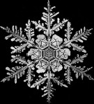 snowflake1 snowflake1
