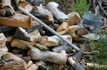 wood wood