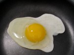 egg egg
